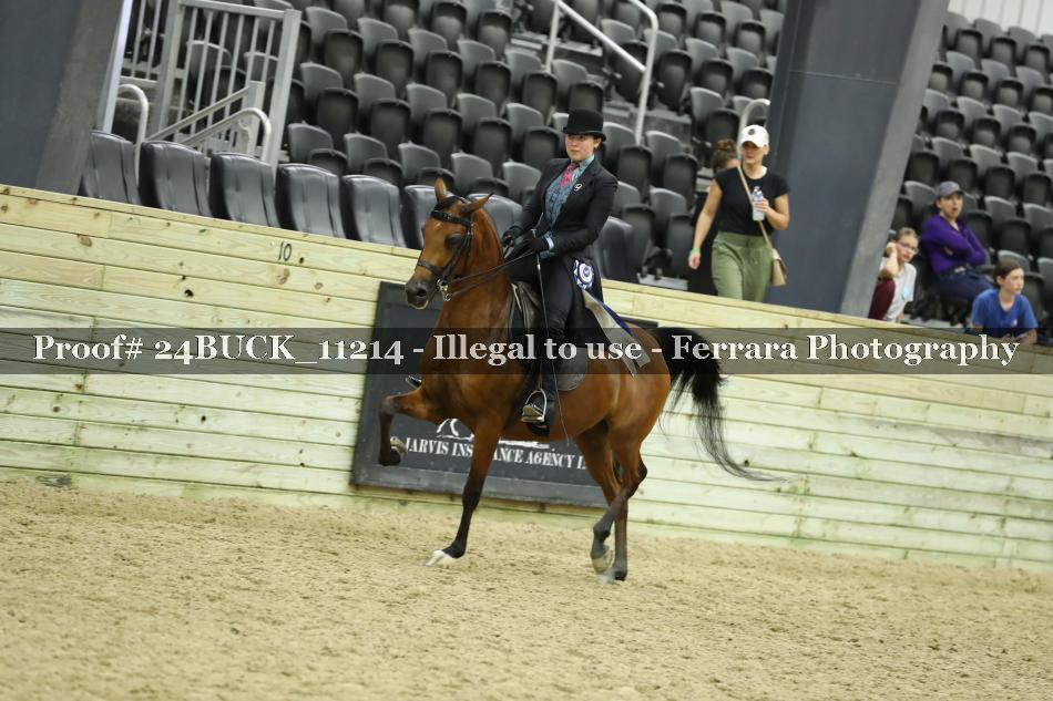 Proof Number 24BUCK_11214