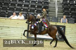 24BUCK_11236 thumbnail