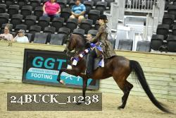 24BUCK_11238 thumbnail