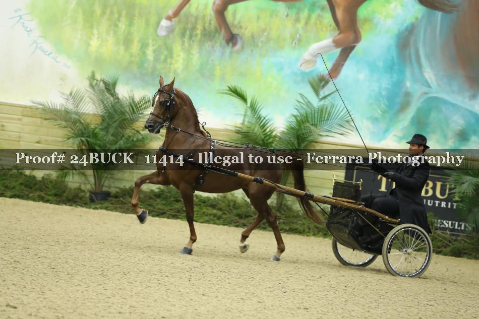 Proof Number 24BUCK_11414