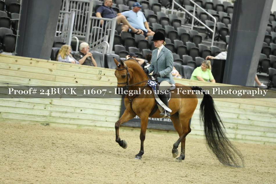 Proof Number 24BUCK_11607