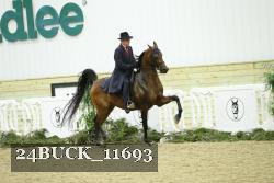 24BUCK_11693 thumbnail