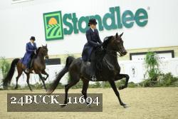 24BUCK_11694 thumbnail
