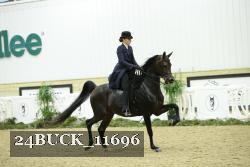 24BUCK_11696 thumbnail