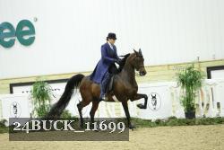 24BUCK_11699 thumbnail