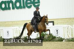 24BUCK_11702 thumbnail