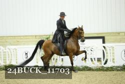 24BUCK_11703 thumbnail