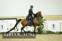 24BUCK_11704 thumbnail