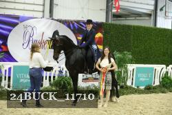 24BUCK_11710 thumbnail