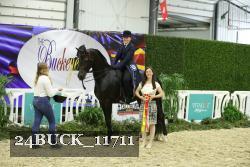 24BUCK_11711 thumbnail