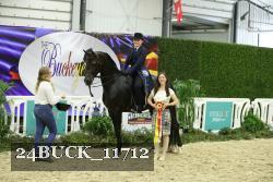 24BUCK_11712 thumbnail