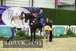 24BUCK_11715 thumbnail