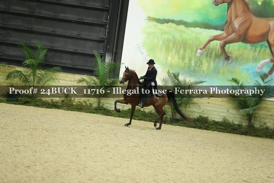 Proof Number 24BUCK_11716