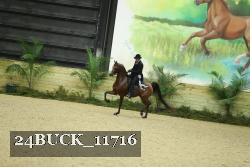 24BUCK_11716 thumbnail