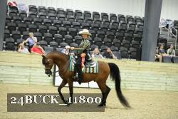 24BUCK_11800 thumbnail