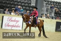 24BUCK_11813 thumbnail