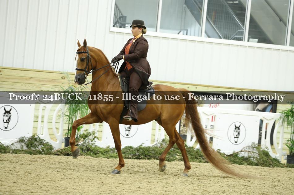 Proof Number 24BUCK_11855