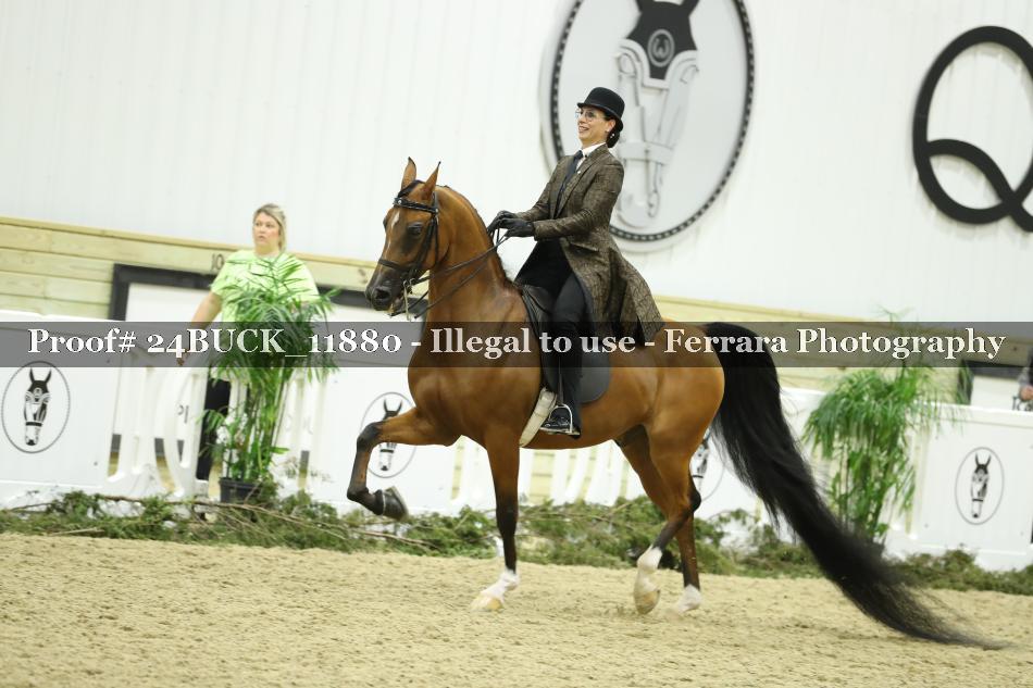 Proof Number 24BUCK_11880