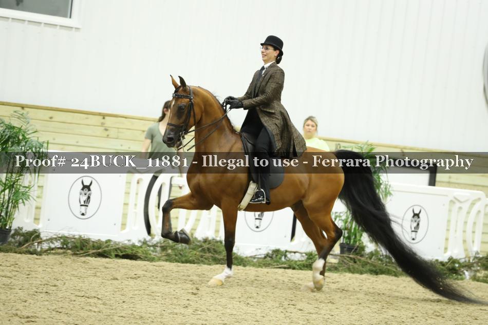 Proof Number 24BUCK_11881