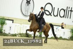 24BUCK_11882 thumbnail