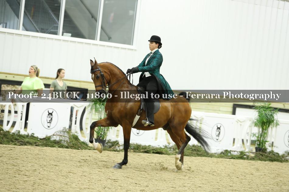 Proof Number 24BUCK_11890