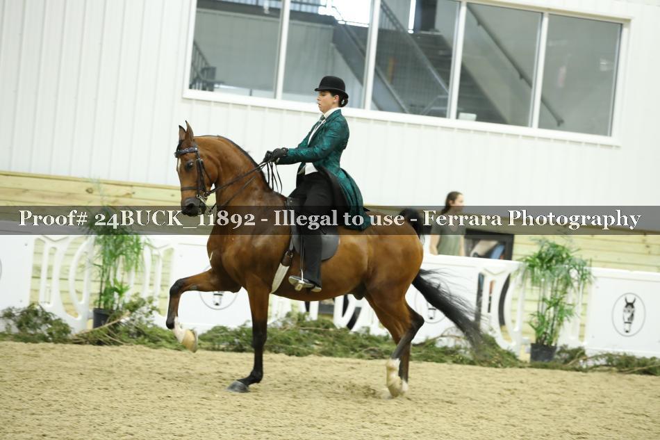 Proof Number 24BUCK_11892