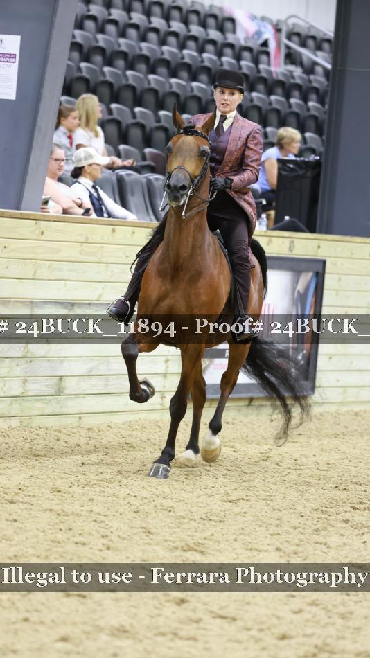 Proof Number 24BUCK_11894