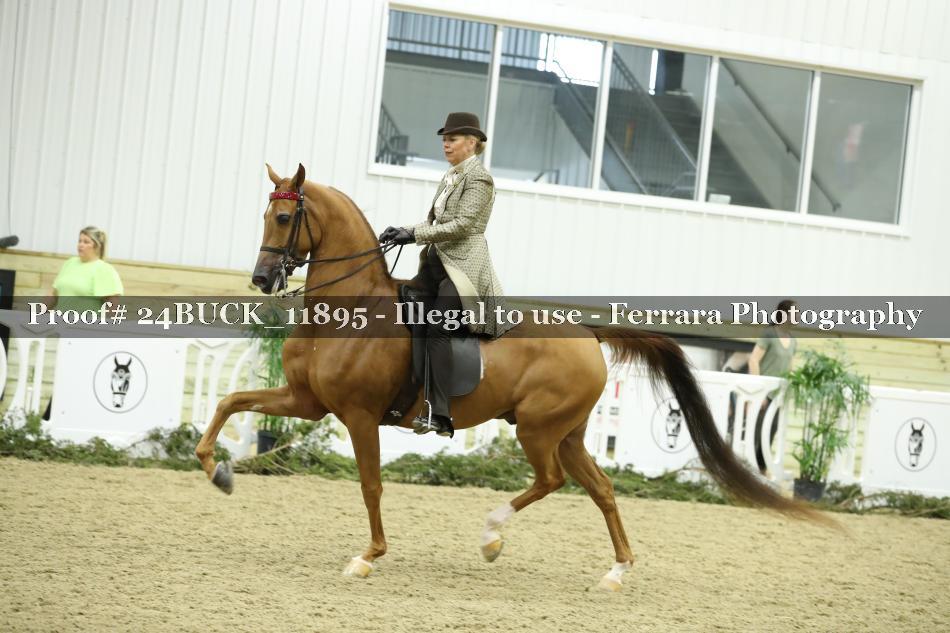 Proof Number 24BUCK_11895