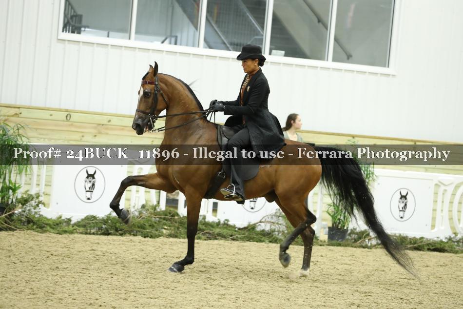 Proof Number 24BUCK_11896