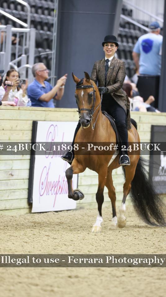 Proof Number 24BUCK_11898