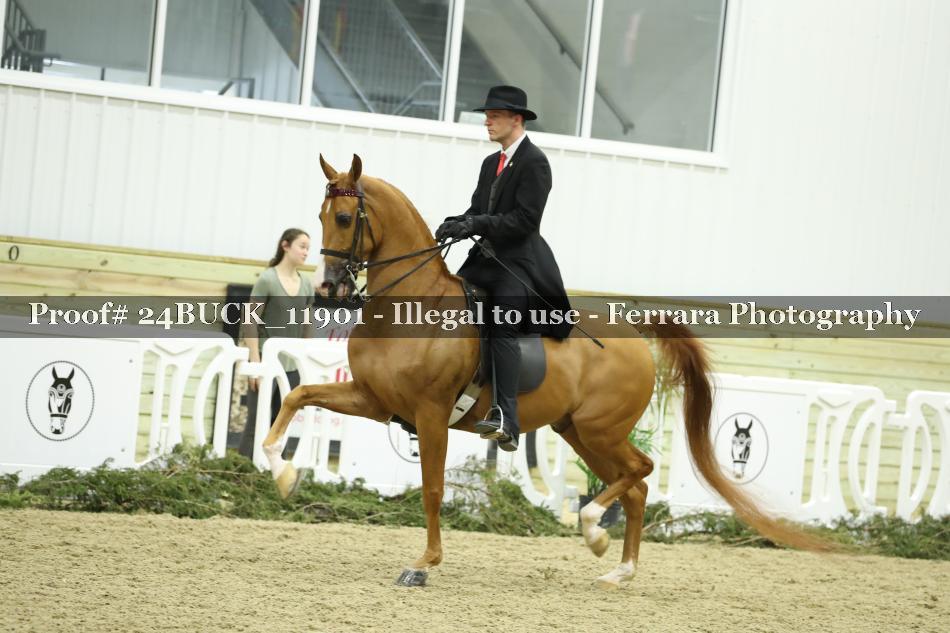 Proof Number 24BUCK_11901