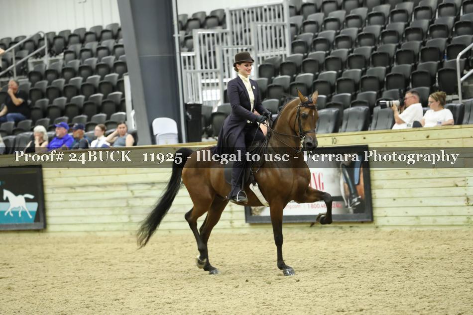 Proof Number 24BUCK_11925