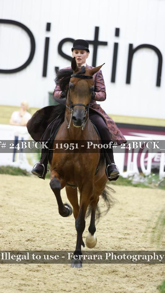 Proof Number 24BUCK_11951