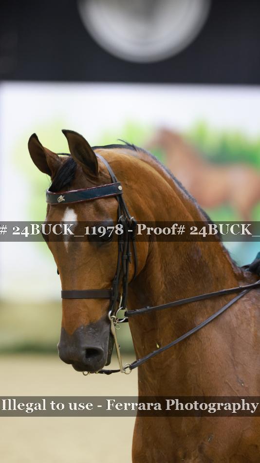 Proof Number 24BUCK_11978