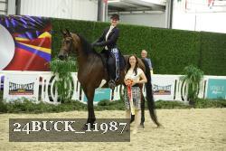 24BUCK_11987 thumbnail