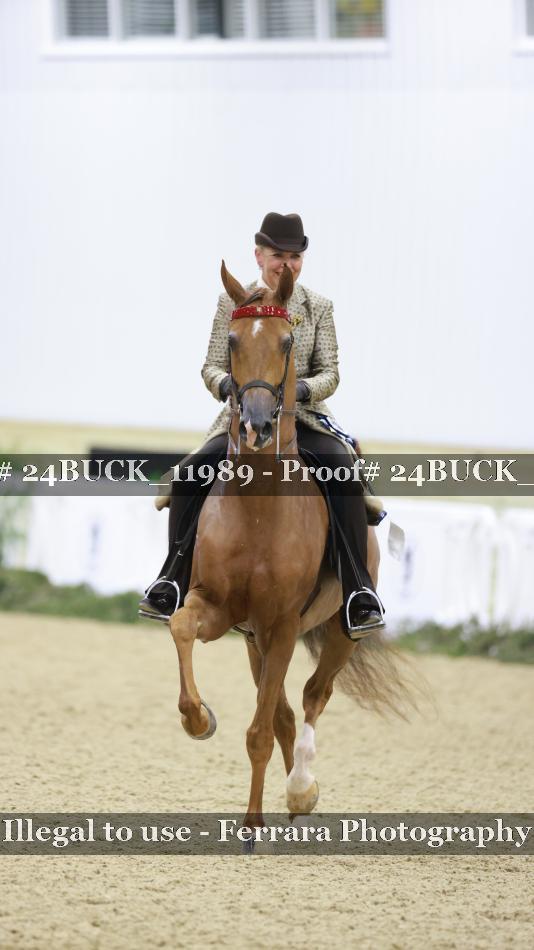 Proof Number 24BUCK_11989