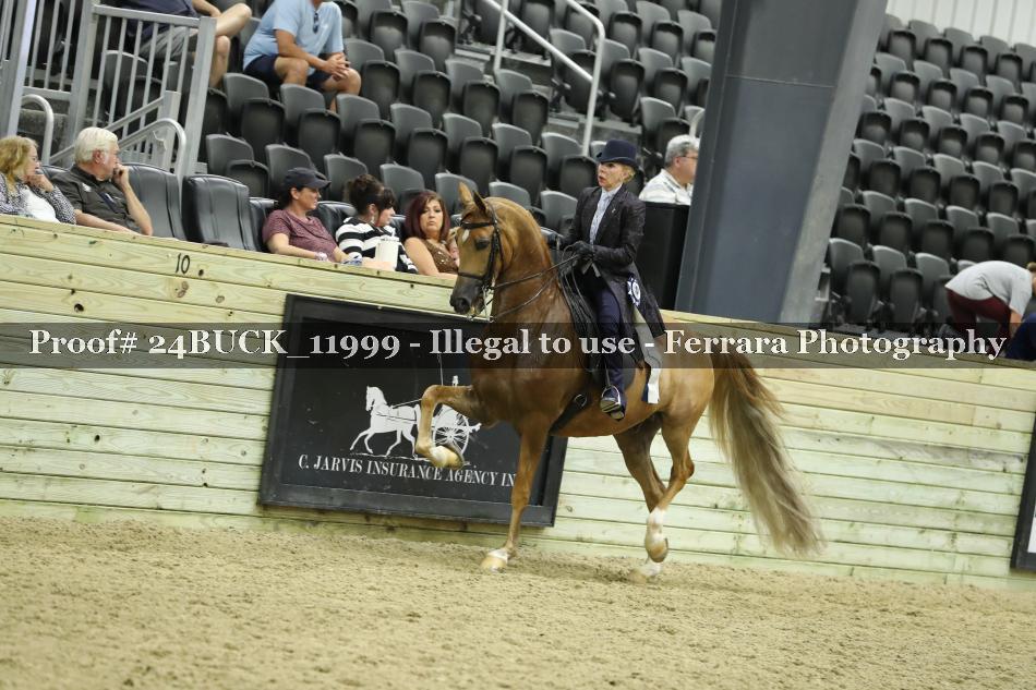 Proof Number 24BUCK_11999