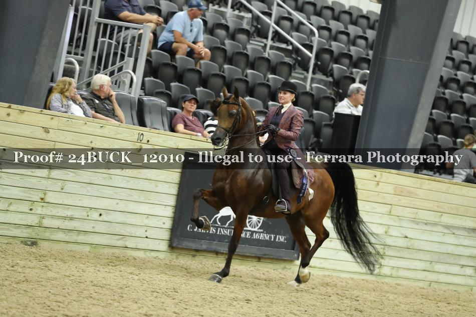Proof Number 24BUCK_12010
