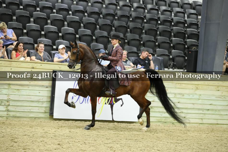 Proof Number 24BUCK_12013