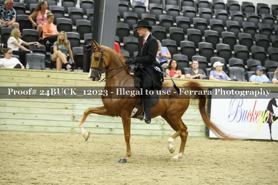 Proof Number 24BUCK_12023