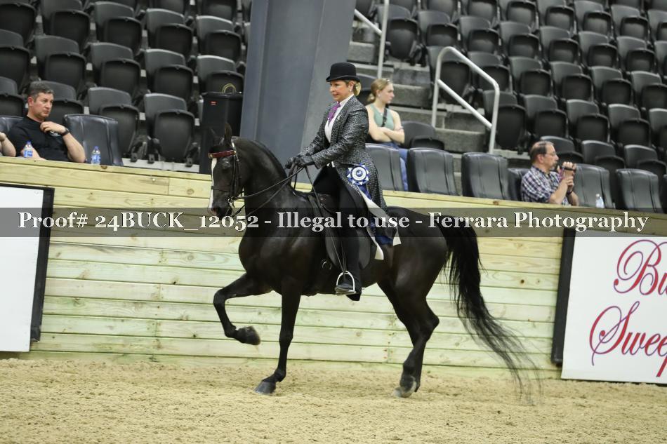 Proof Number 24BUCK_12052
