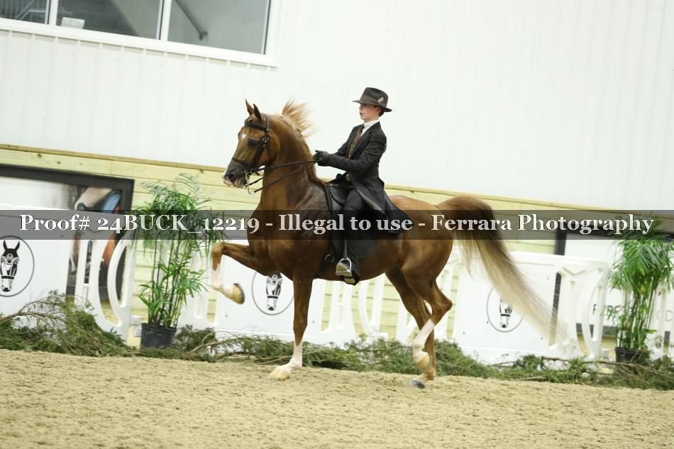 Proof Number 24BUCK_12219