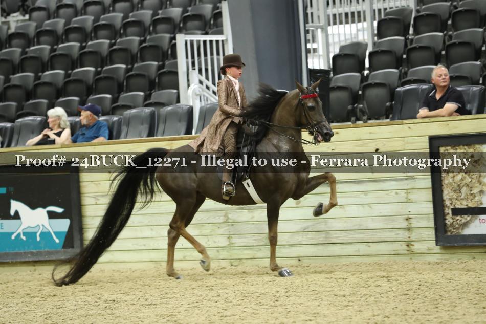 Proof Number 24BUCK_12271