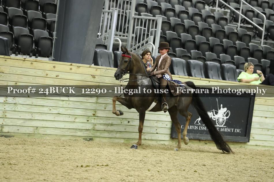 Proof Number 24BUCK_12290