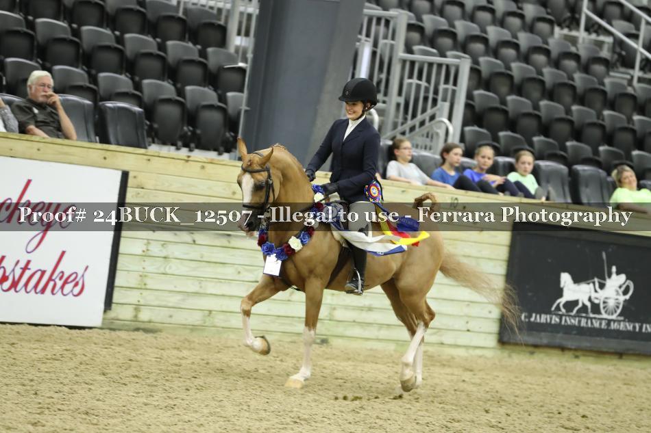 Proof Number 24BUCK_12507