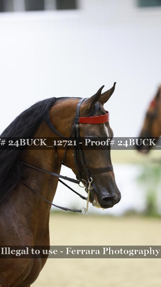 Proof Number 24BUCK_12721