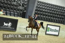 24BUCK_12744 thumbnail