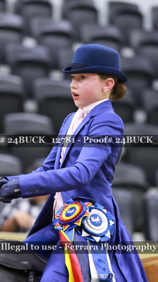 Proof Number 24BUCK_12781
