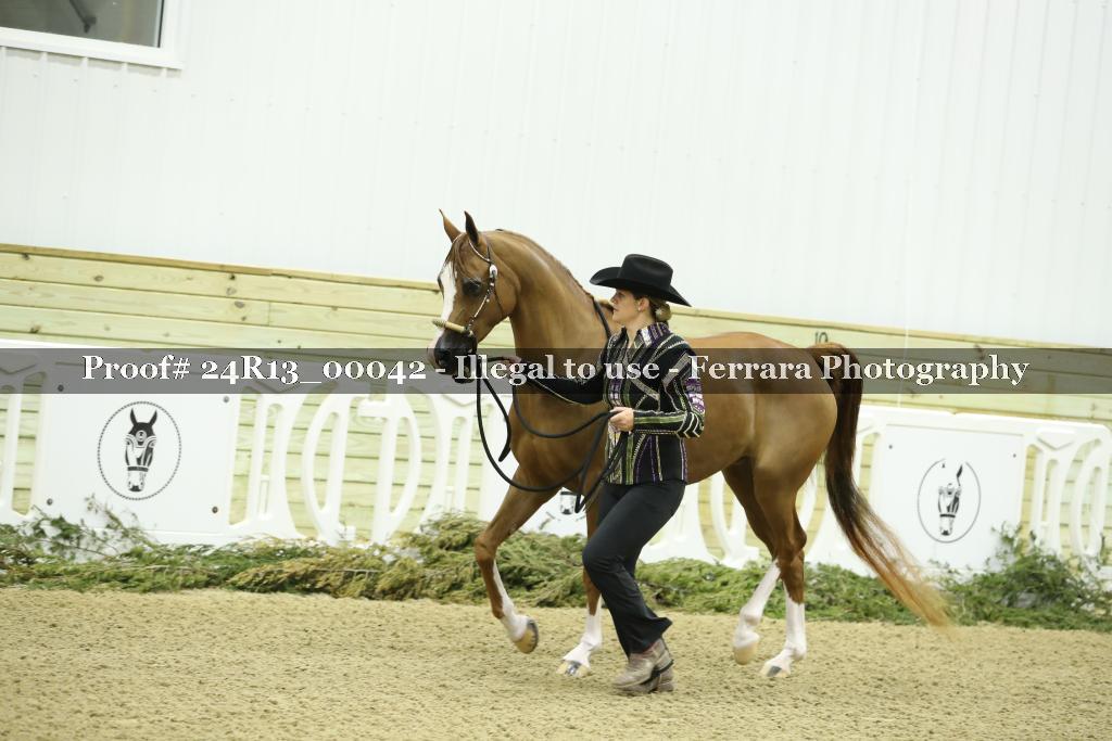 Proof Number 24R13_00042