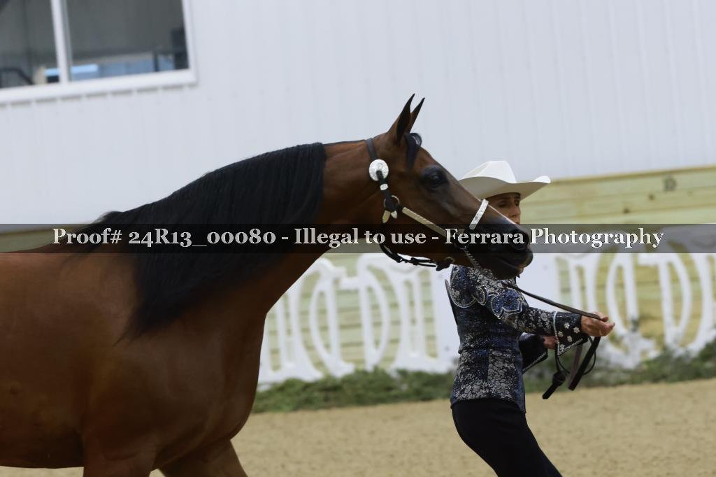 Proof Number 24R13_00080
